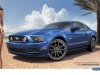 Dalena Henriques - 2013 Ford Mustang