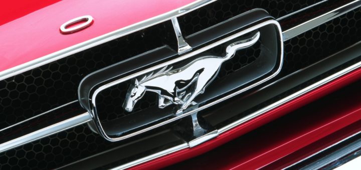 Ford mustang grille ornament #5